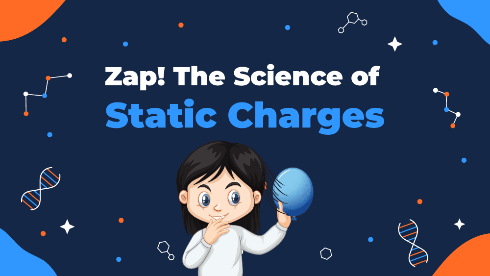 Zap! The Science of Static Charges BTSESSC-V1