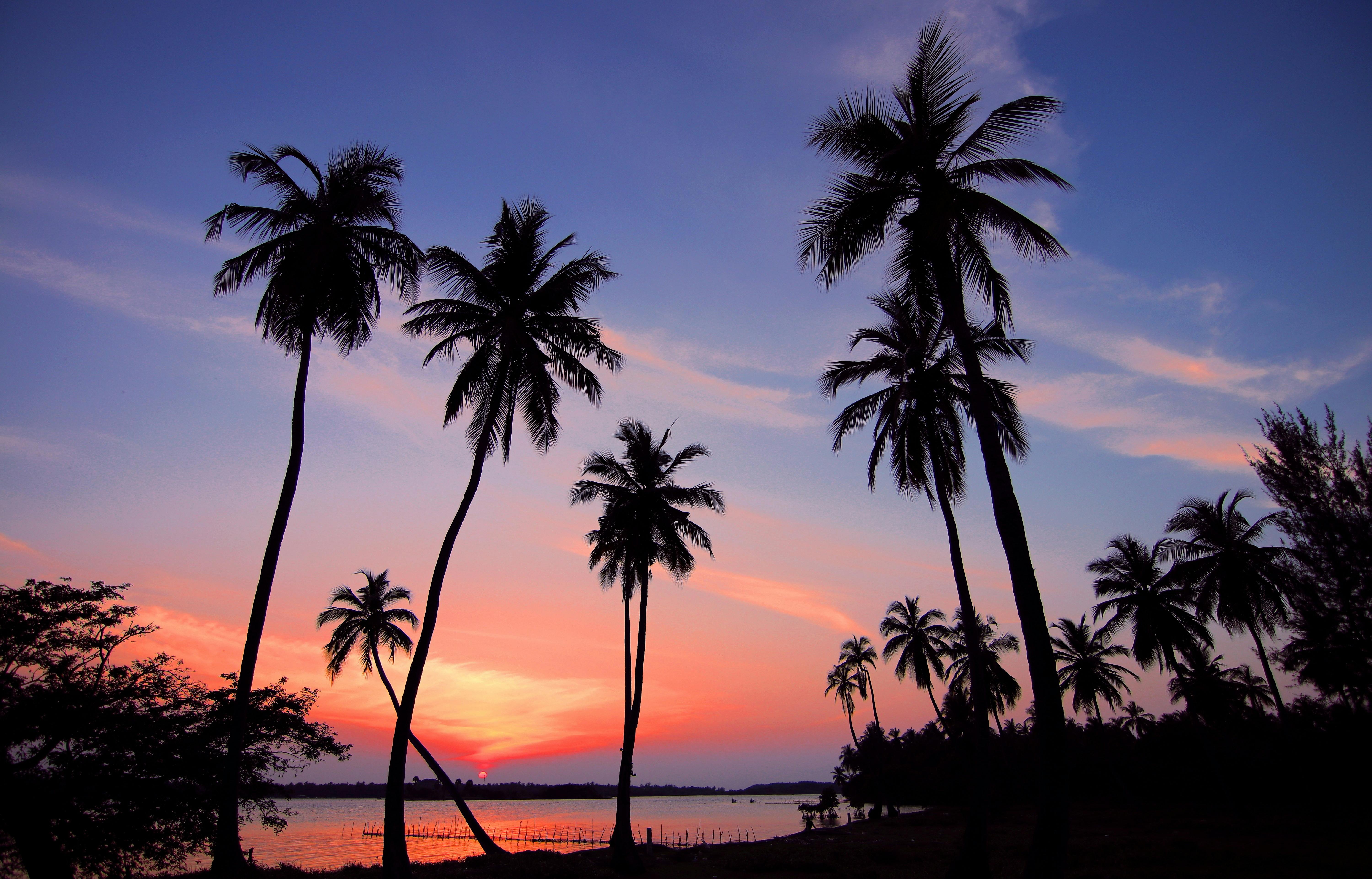 Test 458